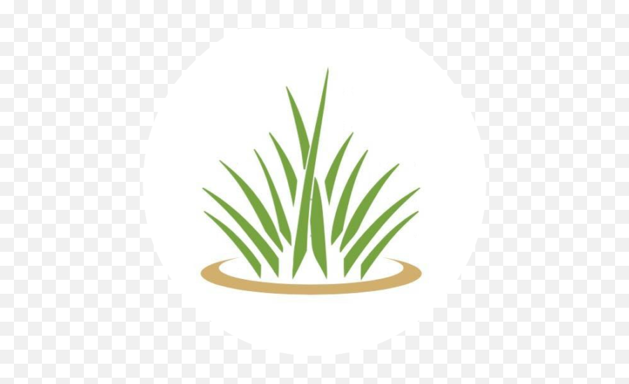 Cropped - Hlogopngpng Halo Lawn Care Circle,Lawn Png