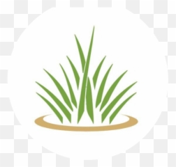 Cropped - Hlogopngpng Halo Lawn Care Circle,Lawn Png