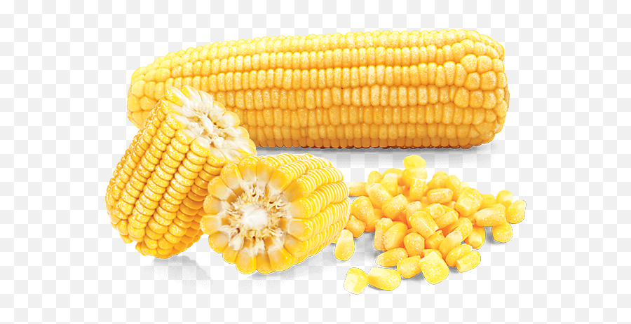 Sweet Corn - Corn Kernels Png,Corn Cob Png