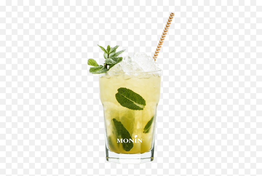 Virgin Passion Mojito Monin Syrups - Mojito Png,Passion Png