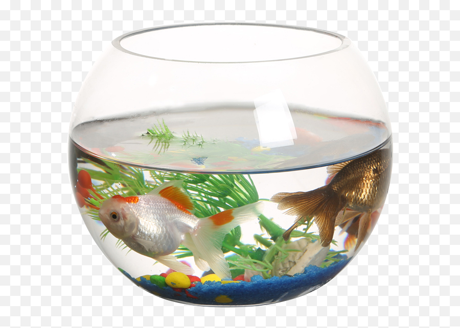 Download Hd Ranfeng Small Fish Tank - Small Fish Tank Png,Fish Tank Png