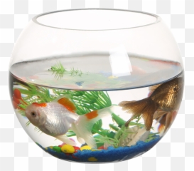 Download Hd Ranfeng Small Fish Tank - Small Fish Tank Png,Fish Tank Png