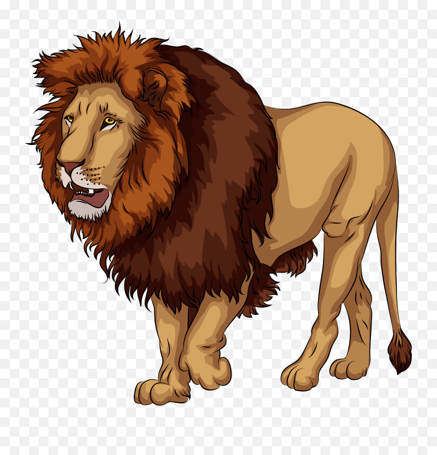 African Lion Clipart - Examples Of Carnivores Animals Png,Lion Clipart Png