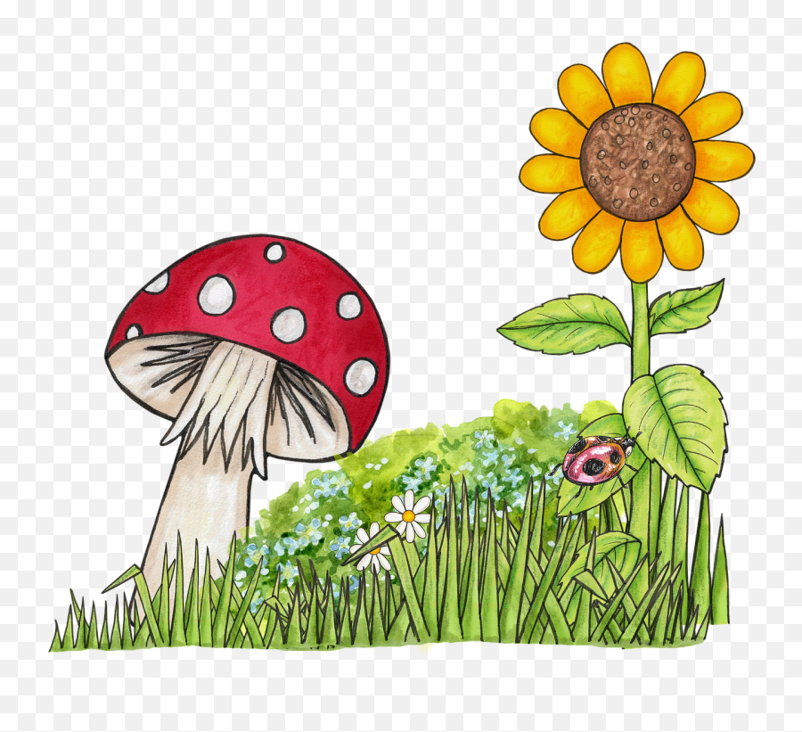 Toadstool Png - Flower And Mushroom Clipart,Toadstool Png