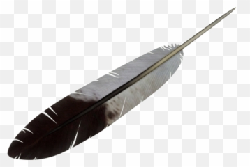 Feather Png - Transparent Background Indian Png