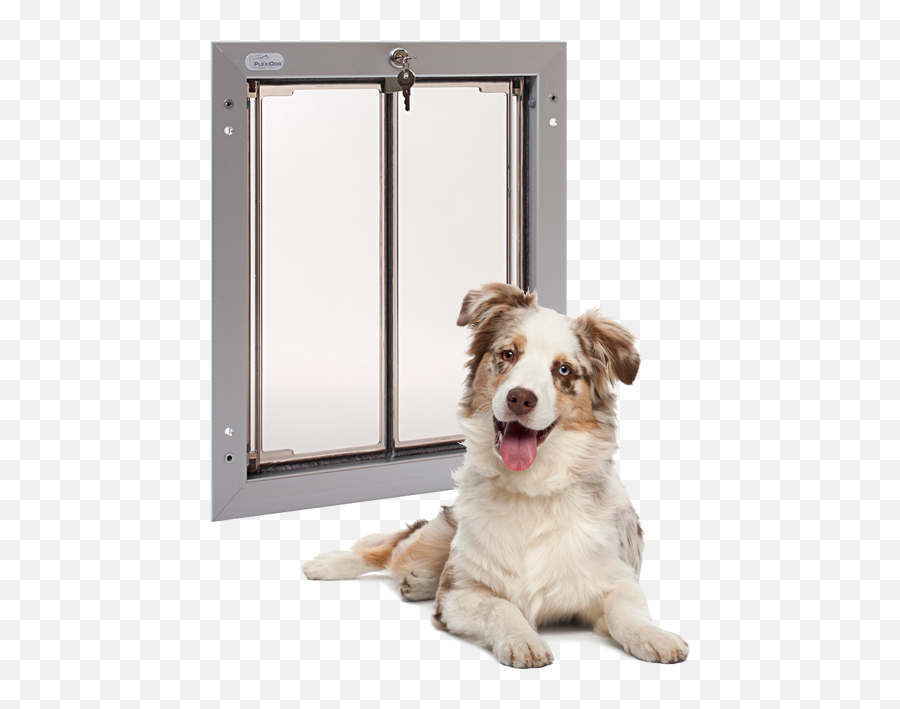 4k Letterbox Png - Side Opening Cat Door,Door Transparent Background