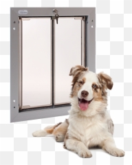 4k Letterbox Png - Side Opening Cat Door