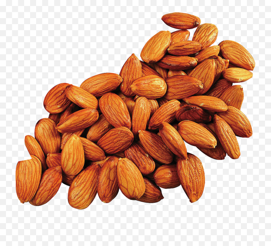 Apricot Kernel Almond Oil Food Png