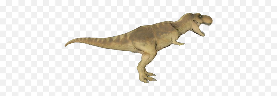 T Rex Free 3d Model - Obj Max C4d Free3d T Rex 3d Model Free Png,Trex Png