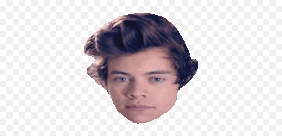 One Direction Sticker Gif - Harry Styles Stickers Gif Png,One Direction Transparents