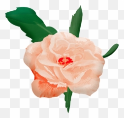 Rosa En Acuarela Png Clipart - Acuarela Png Rosa,Acuarela Png