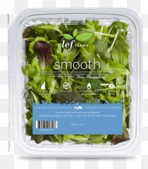 Lf Farms Fresh Tasty Lettuce Grown Nearby - Lef Lettuce png