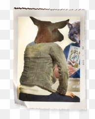 The Path Of Tarot U2014 Susan Siegrist Png Diary