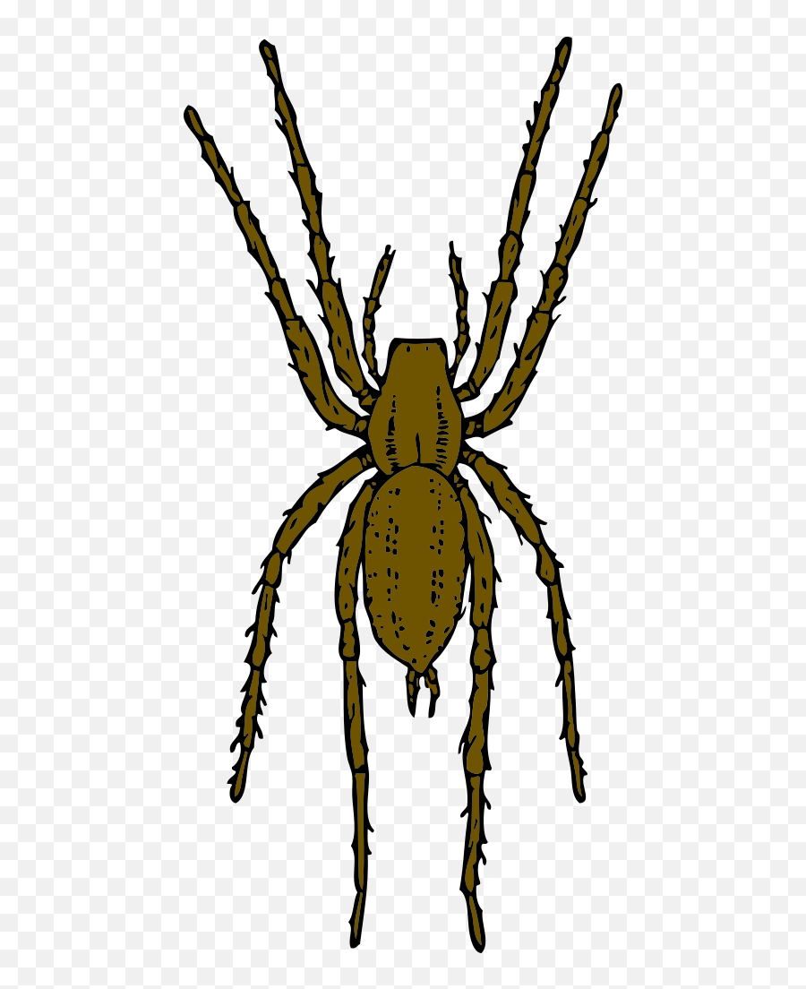 Brown Spider Png Svg Clip Art For Web - Download Clip Art Ragno Cartone Animato Marrone,Hanging Spider Png