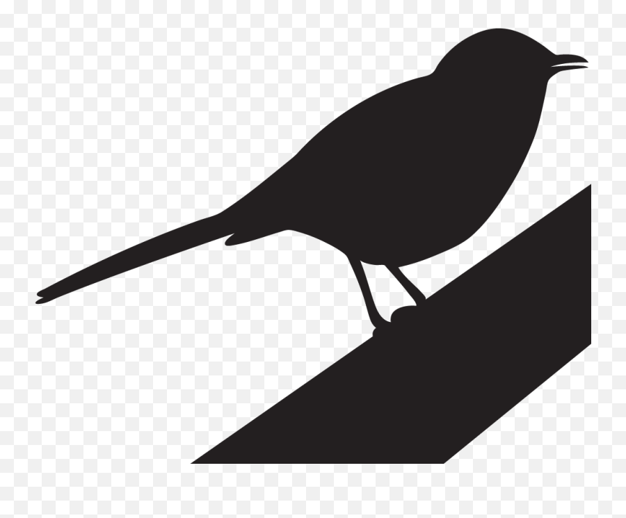 Northern Mockingbird - Mockingbird Clipart Png,Big Bird Icon
