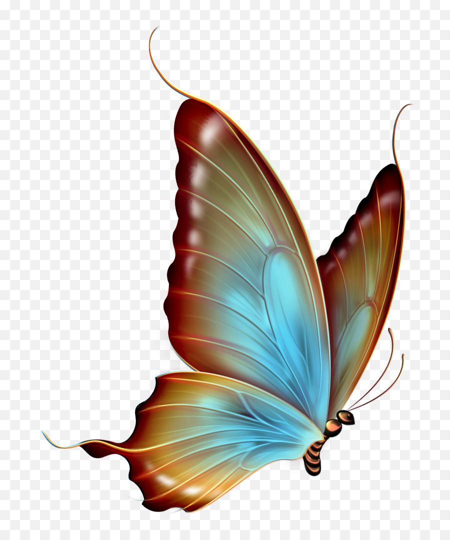 Transparent Butterfly Clipart - Transparent Background Butterfly Clipart Png,Butterfly Transparent