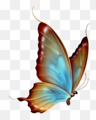 Transparent Butterfly Clipart - Background png