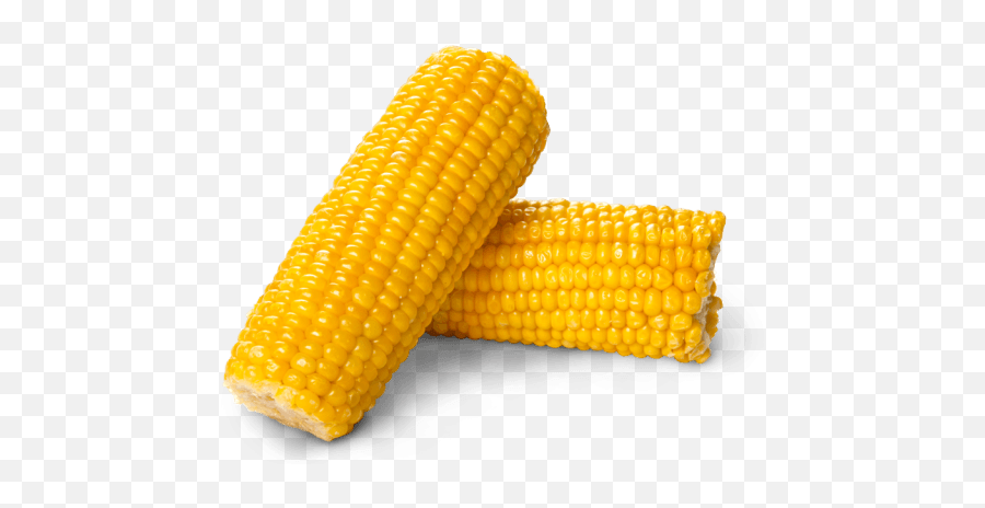 Corn Png Background Image - Corn Png,Corn Transparent Background