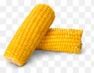 Corn Png Background Image
