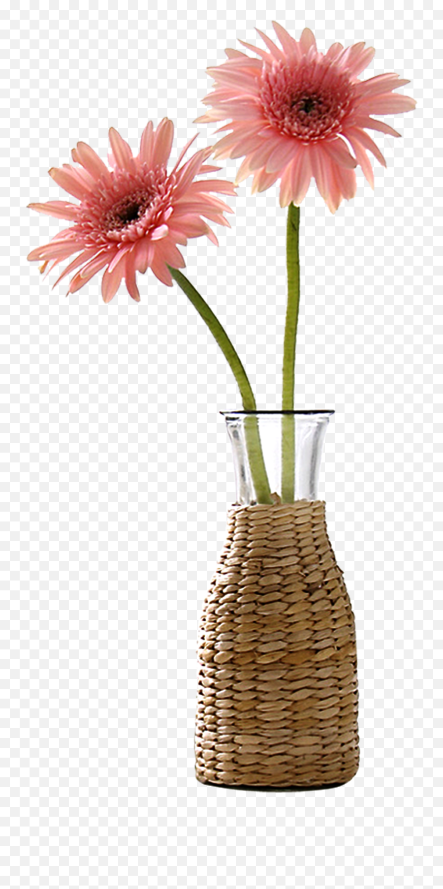 Download Beautiful Vase Flower Decoration Vector - Vase Vase With A Flower Png,Vase Png