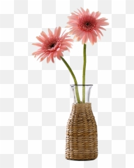Download Beautiful Vase Flower Decoration Vector - Vase Vase With A Flower Png,Vase Png