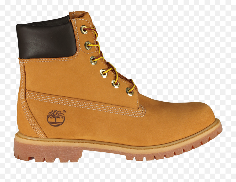 Wwwinformatixtmde - Ankle Timberland Boots Png,Icon Dkr Boot
