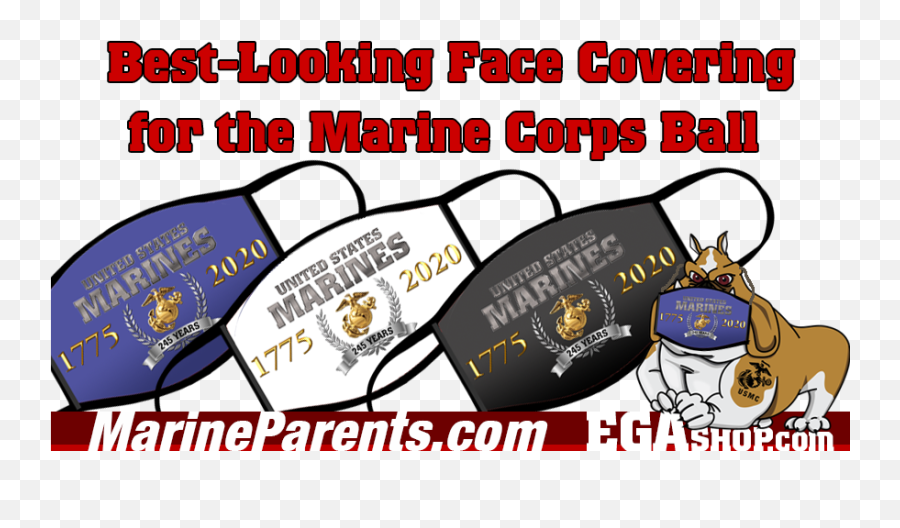 Care Packages For Deployed Marines Insurance - Language Png,Usmc Icon