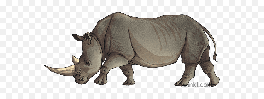 Animal Rhino - Black Rhinoceros Png,Rhino Icon Png