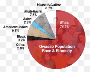 Demographics - Baby Security png