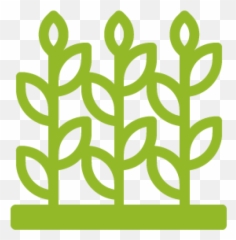Impact Rainforest Alliance - Decorative png