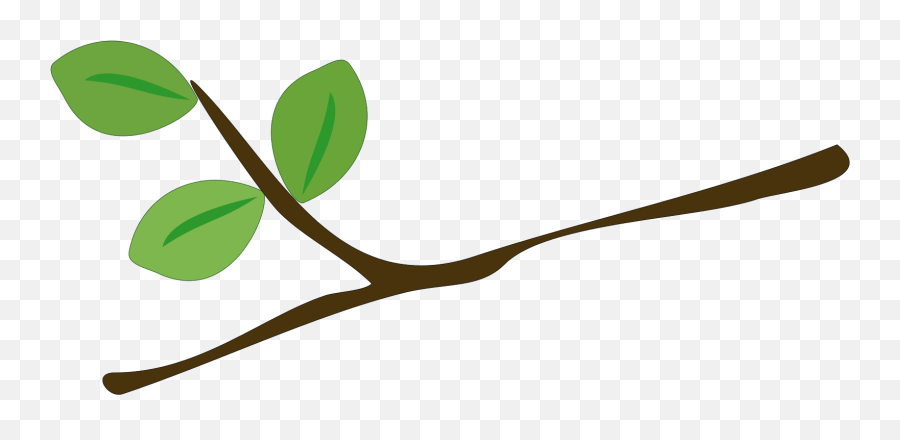 Tree Branch Leaves - Free Vector Graphic On Pixabay Cartoon Branch Png,Tree Branches Png