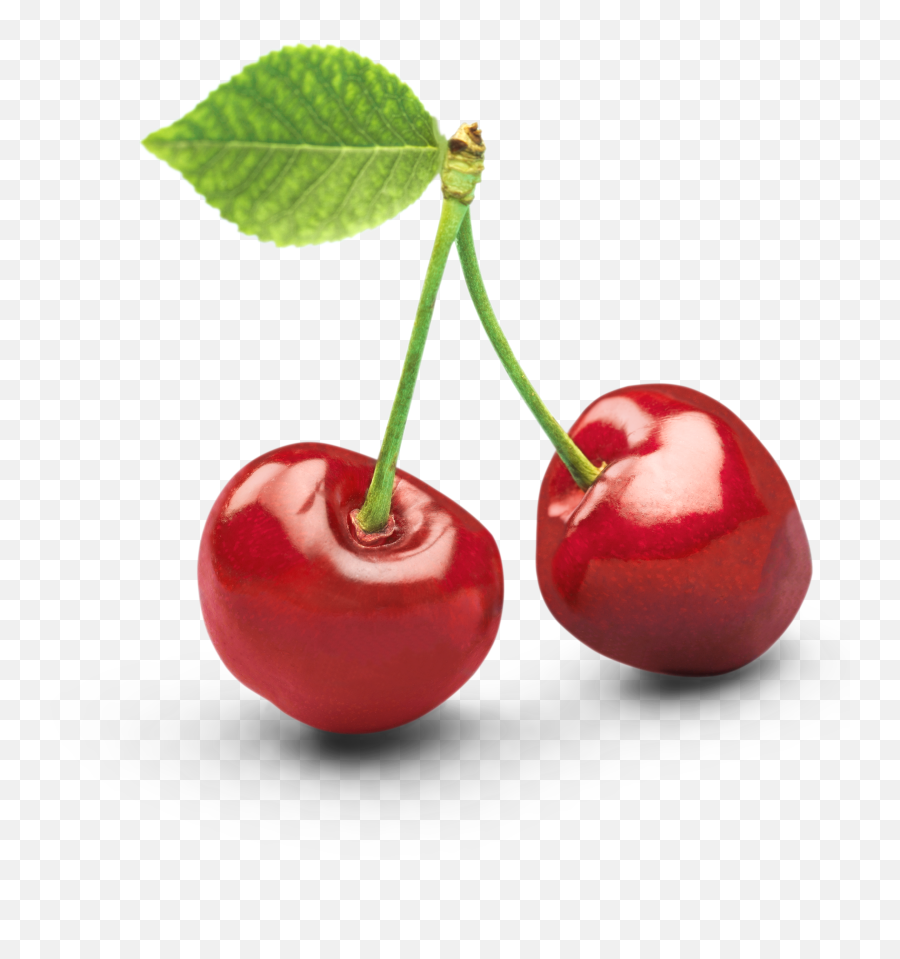 One Clipart Object Picture - Black Cherry Png Vector,Object Png