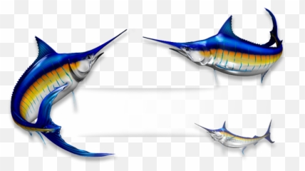 Recreational Vehicle Transparent Png - Atlantic Blue Marlin,Marlin Png