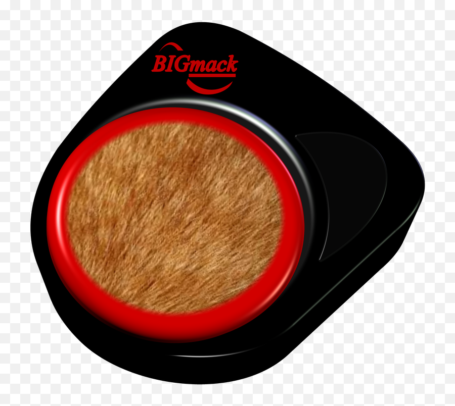 Feature 101 Ideas For A Bigmack - Talksense Face Powder Png,Eric Jenkins My Ipod My Icon