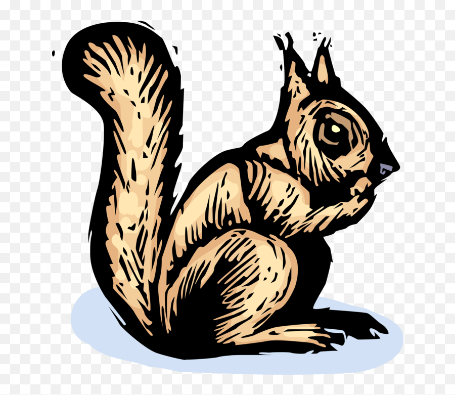 Rodent Squirrel Eats Nut - Vector Image Animal Figure Png,Squirrel Icon