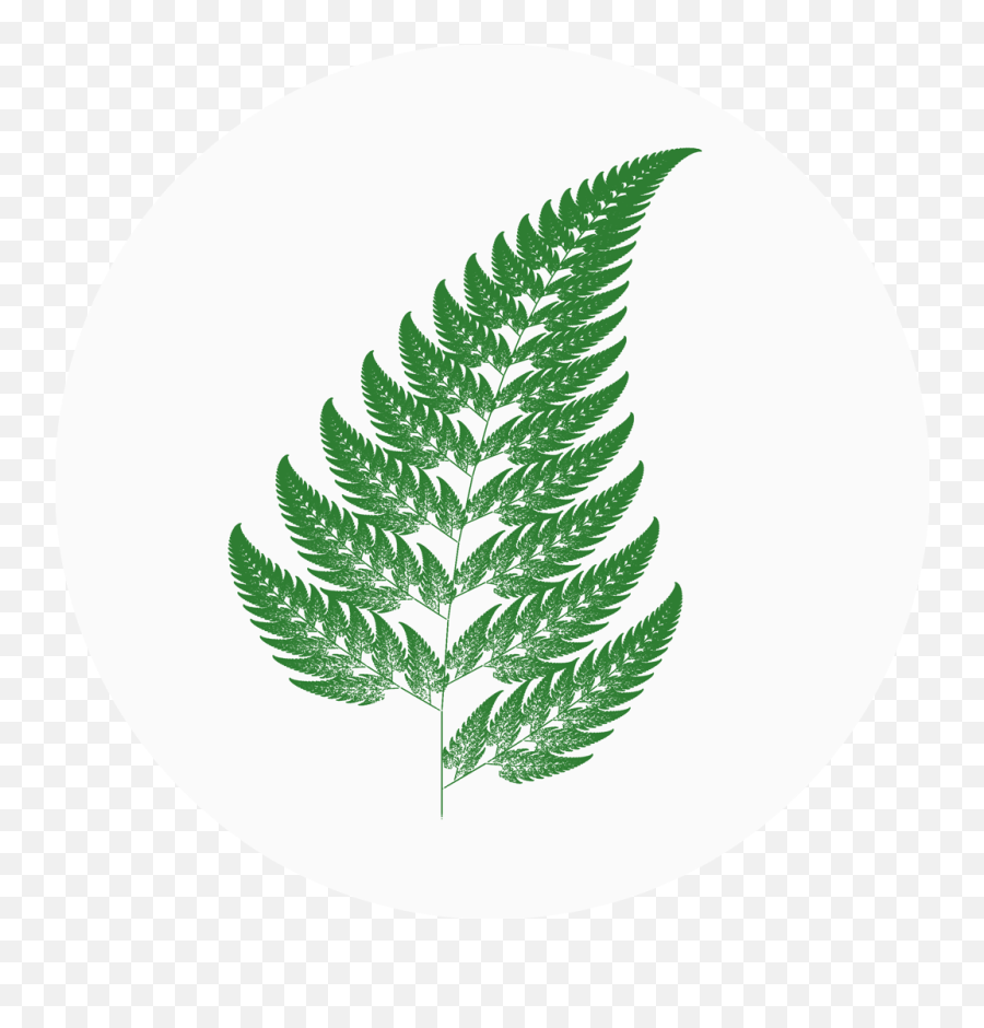 Strange Attractors U2013 Home - Barnsley Fern Png,Fern Icon