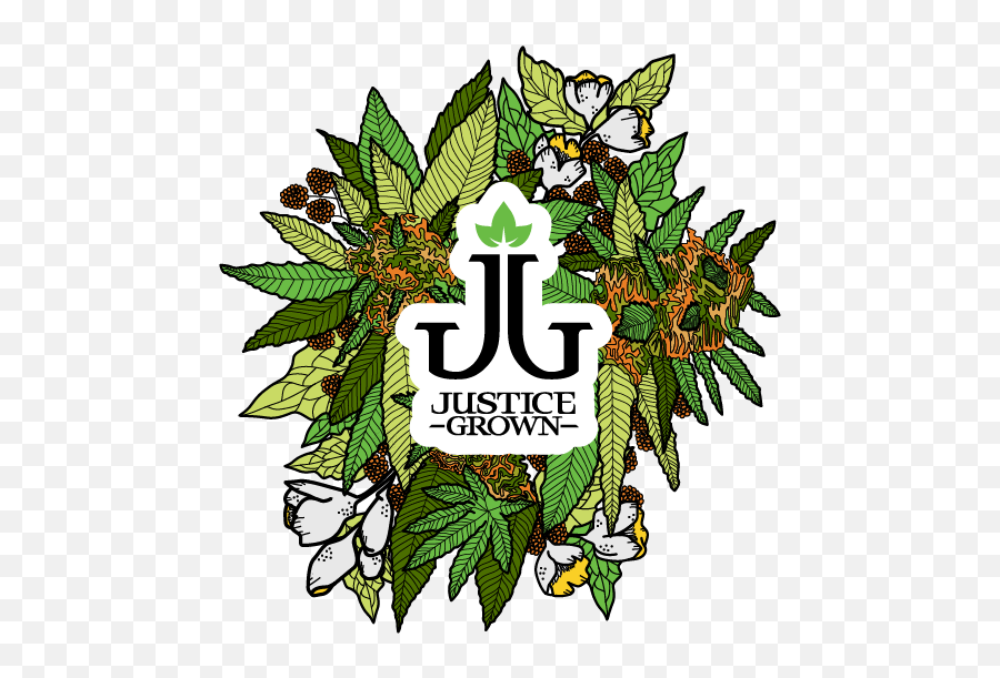 Justice Grown Bouquet U2014 Hgc Studio Llc Heidi Corley Png