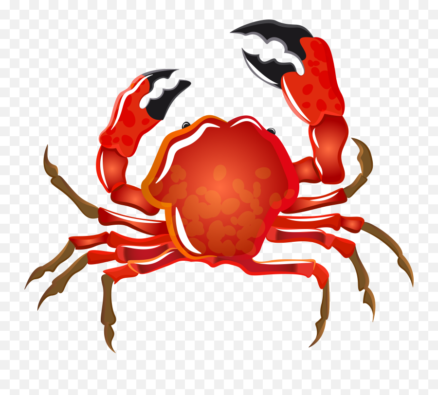 Transparent Crab Beach U0026 Png Clipart Free Background