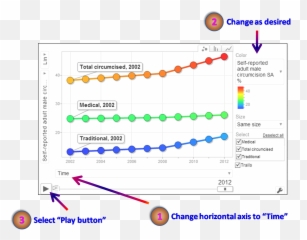 Motion Chart - Screenshot png