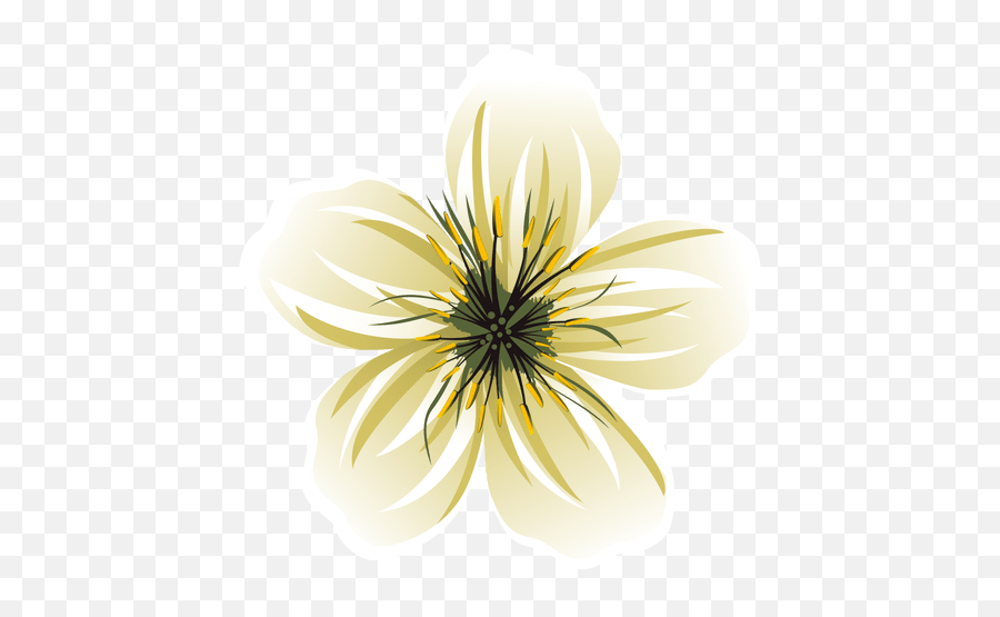 White Flower Cartoon - Transparent White Flower Vector Png,Flower Cartoon Png