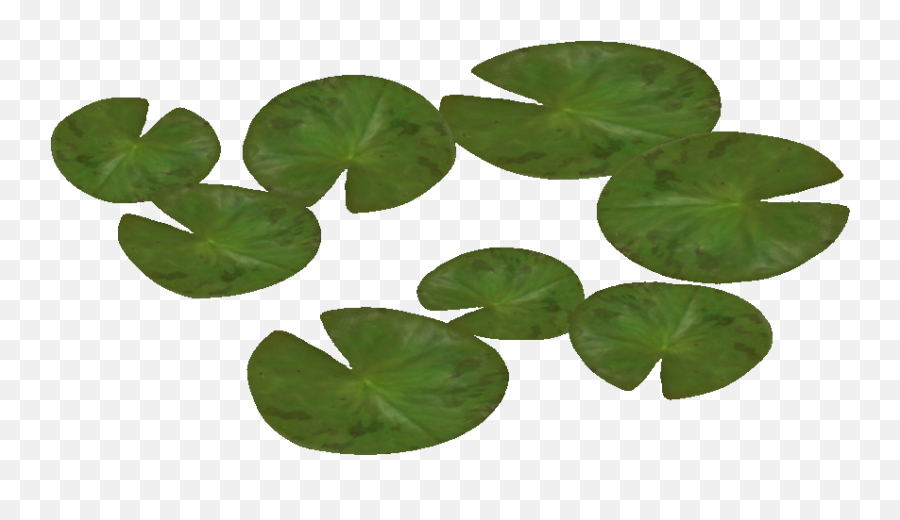 Water Lily Png Pic Mart 539460 - Png Images Pngio Water Lily Top Png,Lilies Png