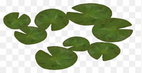 Water Lily Png Pic Mart 539460 - Png Images Pngio Water Lily Top Png,Lilies Png