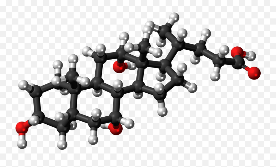 Molecular Structure Png Clipart Mart - Chenodeoxycholic Acid Molecular Model,Molecule Png