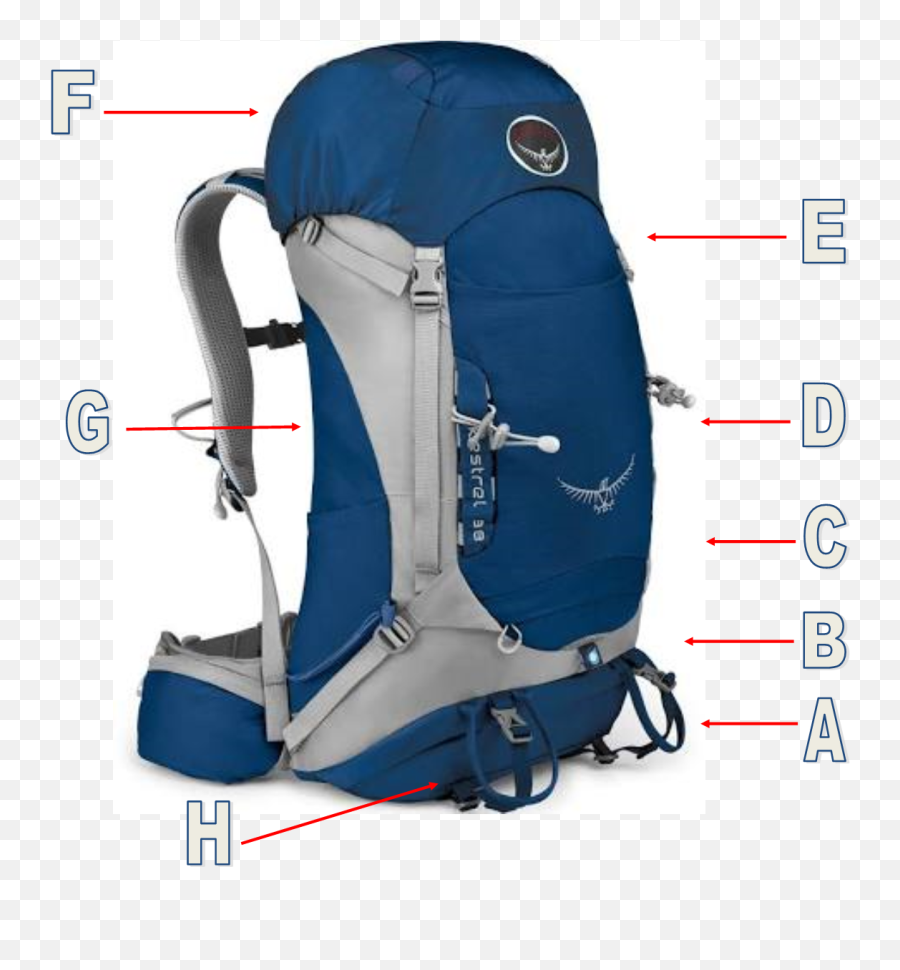 Hike Clipart Travel Backpack - Red Osprey Kestrel 38 Png,Back Pack Png