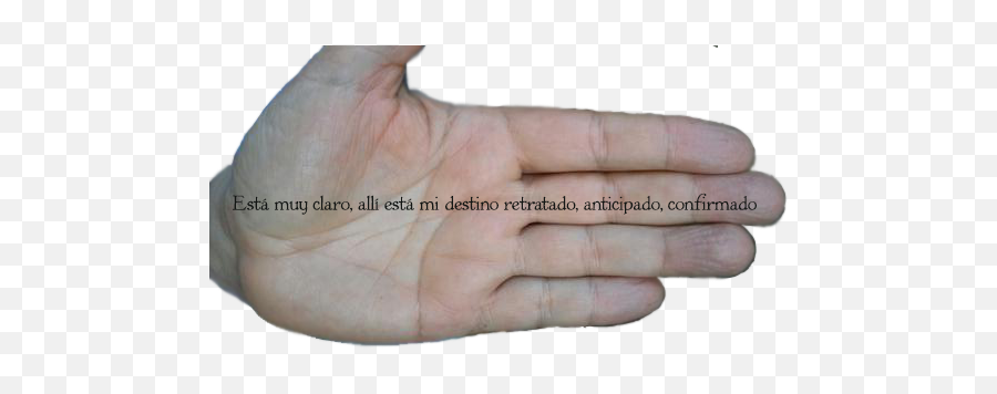 Index Of Memoriasycaminostextosimagenes - Hand Png,Lineas Png