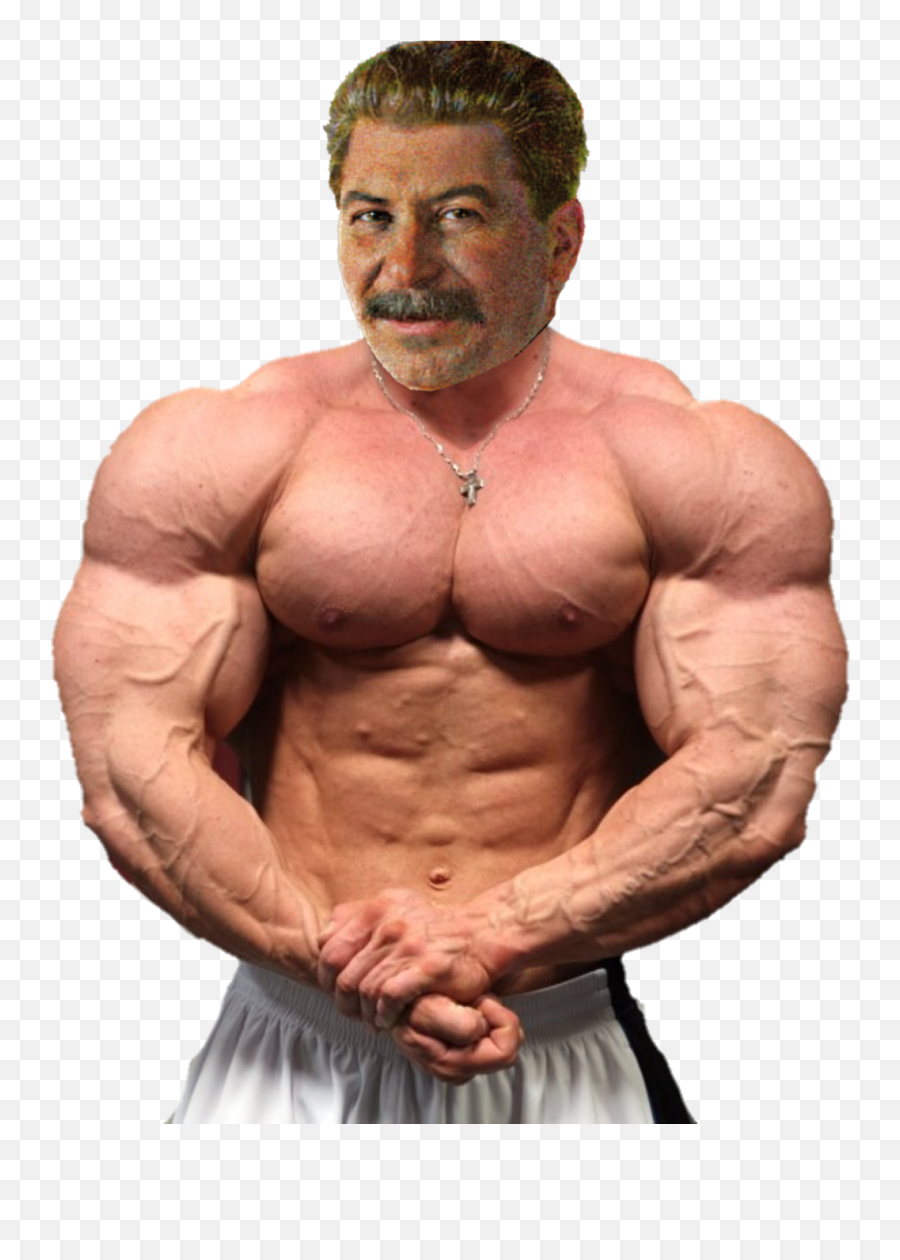 I Used This Totally Realistical High Definition Png Made - Dennis Wolf,Lenin Png