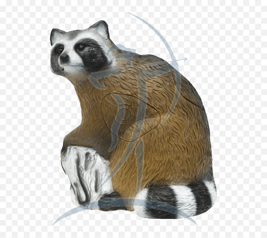 Raccoon Transparent Png Image - Waschbär 3d Target,Raccoon Transparent