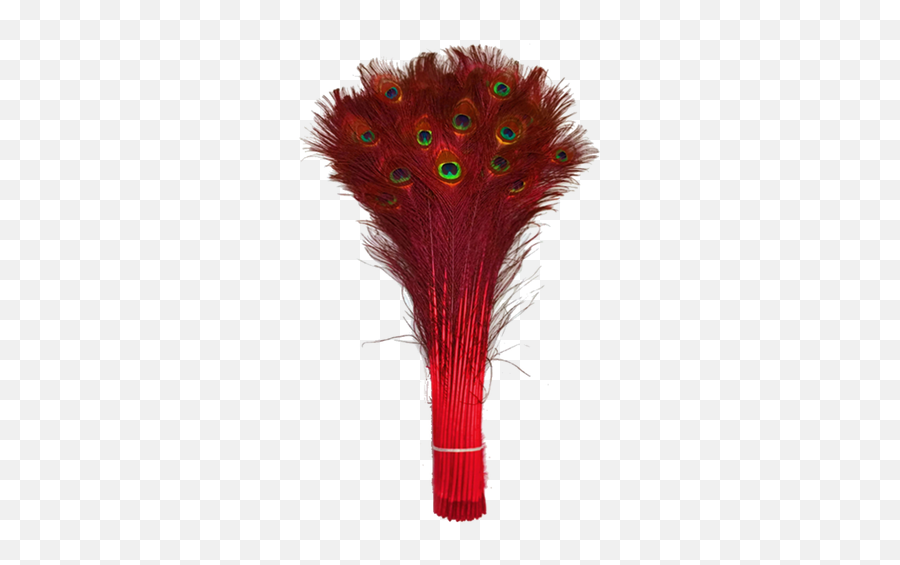 Red Peack Feathers Png - Animal Product,Feathers Png