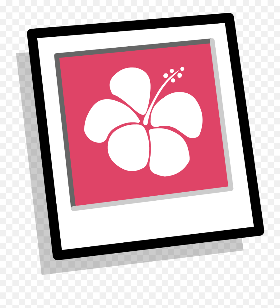 Pink Hawaiian Background Inventory - Gallery Icon No Transparent Pink Gallery Icon Png,Inventory Png
