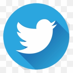 About The Project U2013 Zamisli 2030 - Transparent Png Format Twitter Logo